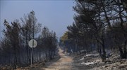 Βελτιωμένη η εικόνα στα Βίλια - 5η ημέρα της πυρκαγιάς
