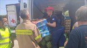 Περιφέρεια Αττικής: Διανομή 2 τόνων φρούτων-προσφορά της ΠΟΣΠΛΑ σε όσους επιχειρούν στα Βίλια