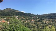 Το χωριό με τα περισσότερα αιωνόβια δέντρα της Ελληνικής Επανάστασης