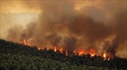 Και νέα πυρκαγιά στα Βίλια Αττικής