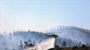 Σε ύφεση η φωτιά στην περιοχή Κάζα στα Βίλια Αττικής