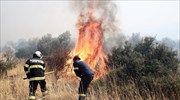 Σε ύφεση η πυρκαγιά στα Βίλια - Συνεχίζουν να επιχειρούν οι δυνάμεις