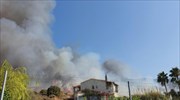 Υπό έλεγχο η πυρκαγιά στην Κω