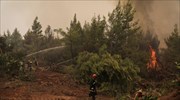 Τριάντα εννέα δασικές πυρκαγιές  το τελευταίο 24ωρο σε όλη την Ελλάδα