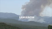 Φθιώτιδα: Μάχη με τα μέτωπα της φωτιάς που προσεγγίζουν το χωριό Λογγίτσι