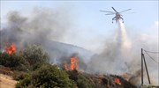 Εύβοια: To 1/3 των δασών κάηκε από την πρόσφατη πυρκαγιά