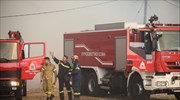 Σε εξέλιξη πυρκαγιά στο Κρόκι της Άμφισσας