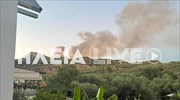 Ηλεία: Νέα φωτιά με κατεύθυνση το Γεράκι Αμαλιάδας