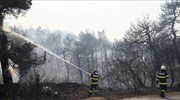 Πολύ υψηλός ο κίνδυνος πυρκαγιάς την Πέμπτη