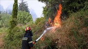 Οριοθετήθηκε η φωτιά στη Ροδόπη -Σε εξέλιξη πυρκαγιά στην Αλιστράτη Σερρών