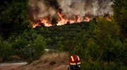 Καμένο το 1/6 των δασών της Αττικής από τις πρόσφατες πυρκαγιές