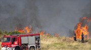 Ρέθυμνο: Σε ύφεση η πυρκαγιά που ξέσπασε κοντά στο χωριό Μαριλού