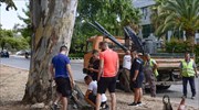 Τροχαίο Mad Clip-Περιφέρεια Αττικής: Οι πραγματογνώμονες οφείλουν να υπηρετούν την αλήθεια