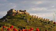 Ισπανία: Ένα αγρόκτημα 4.200 χοίρων «πολιορκεί» το ιστορικό κάστρο Γκορμάθ στη Σόρια