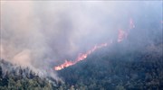 Καστοριά: Δασική πυρκαγιά στο Νεστόριο