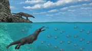 Προϊστορική τετράποδη φάλαινα ανακαλύφθηκε σε έρημο της Αιγύπτου