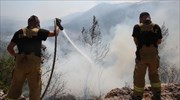 Αργολίδα: Υπό μερικό έλεγχο φωτιά σε αγροτοδασική έκταση στην δημοτική ενότητα Μυκηναίων