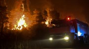Ολονύχτια μάχη με την φωτιά στην Κάρυστο