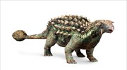 Ανακαλύφθηκε ο αρχαιότερος δεινόσαυρος τανκ