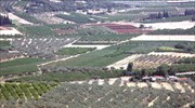ΦΕΚ: Έως 40.000 η ενίσχυση στους νέους αγρότες