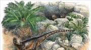 Μίνι Τυραννόσαυρος ζούσε στην Ουαλία