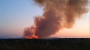 Ναύπακτος: Πυρκαγιά σε δασική έκταση στην περιοχή Ασπριά