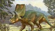 Ανακαλύφθηκε ο δεινόσαυρος «θεατής» του CNN