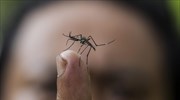 Ερευνητές βρήκαν τρόπο να οδηγούν τα κουνούπια στην αυτοκτονία