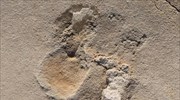 Έξι εκατομμυρίων ετών τα «ανθρώπινα» ίχνη στην Κρήτη;