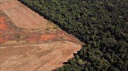 Η Βραζιλία ζητά αποζημιώσεις για τη μάχη της κατά της αποψίλωσης του Αμαζονίου