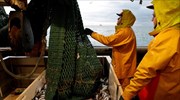 Το Βερολίνο καλεί Βρετανία και Γαλλία να επιλύσουν τις διαφορές τους για τα αλιευτικά δικαιώματα