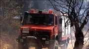 Άρτα: Πυροσβεστικό όχημα σε χαράδρα - Δύο τραυματίες