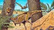 Ανακαλύφθηκε άγνωστο είδος δεινόσαυρου που δεν διέθετε δόντια