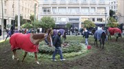 Συγκέντρωση εργαζομένων του Ιπποδρόμου με άλογα στην Αθήνα- Πού έχει διακοπεί η κυκλοφορία