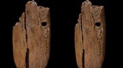 Στο φως μενταγιόν, σκαλισμένο σε ελεφαντόδοντο μαμούθ, ηλικίας 41.500 ετών