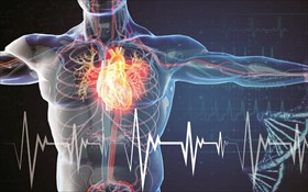 Καρδιακή Ανεπάρκεια: Η πιο σημαντική θεραπεία είναι η πρόληψη