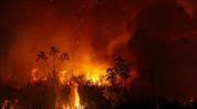Υγρότοπος Παντανάλ: 17 εκατομμύρια ζώα χάθηκαν στις πυρκαγιές του 2020