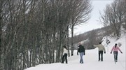 Κακοκαιρία: Στα λευκά το Πήλιο, χιόνια στην Αττική πάνω από τα 300 μ. υψόμετρο