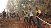 «Silvanus»: Β. Εύβοια και Οίτη στο ευρωπαϊκό πρόγραμμα διαχείρισης δασικών πυρκαγιών