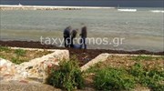Σκόπελος: Εντοπίστηκε σορός σε παραλία - Πιθανόν ανήκει σε μοναχό που αγνοείται από τις 22/12