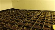 Φυτώριο υδροπονικής καλλιέργειας δενδρυλλίων χασίς σε διαμέρισμα στη Νέα Χαλκηδόνα