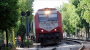 Φθιώτιδα: Ακινητοποιήθηκε τρένο λόγω σύγκρουσης με... αγριογούρουνα