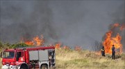 Ηράκλειο: Υπό έλεγχο η φωτιά στο χωριό Μάραθος- Μεγάλη κινητοποίηση της Πυροσβεστικής