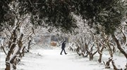 Πυκνές χιονοπτώσεις και την Τρίτη - Πότε θα εξασθενήσει η κακοκαιρία