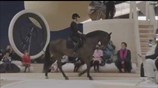 Chanel sends a horse down the runway with Charlotte Casiraghi
