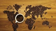Χαρτογραφήθηκε ο κλιματικός Αρμαγεδδώνας στον καφέ και το αβοκάντο