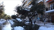 Δ. Ζωγράφου: Αποζημιώσεις σε δημότες για ζημιές που υπέστησαν τα οχήματά τους- Η διαδικασία