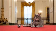 Στον Λευκό Οίκο η «Πρώτη Γάτα των ΗΠΑ»