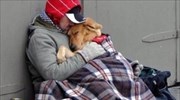 Ντοκιμαντέρ για τους άστεγους και τα σκυλιά που τους συντροφεύουν