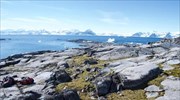 H χλωρίδα επιστρέφει δυναμικά στην Ανταρκτική εξαιτίας της κλιματικής αλλαγής